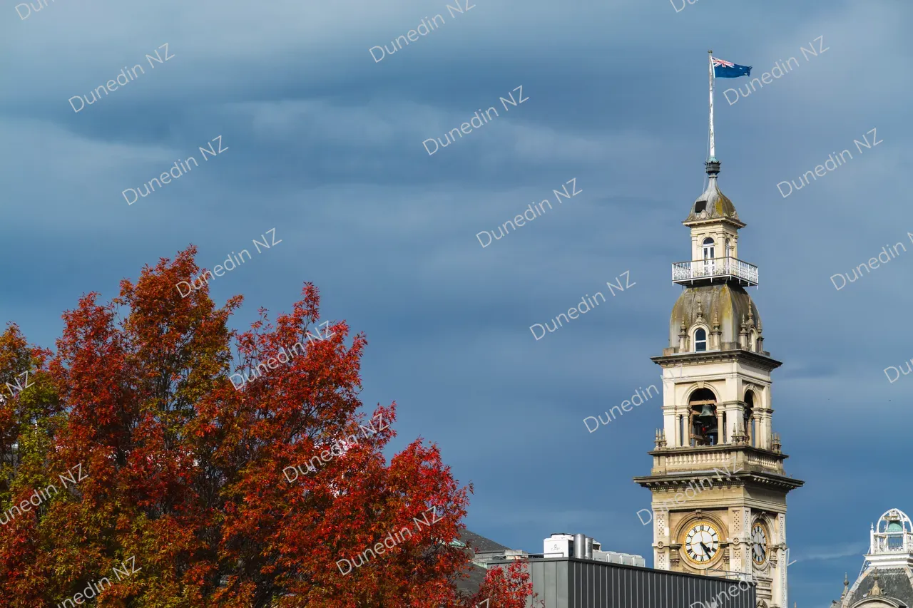 SCENIC_Autumn2025_002_DunedinNZ