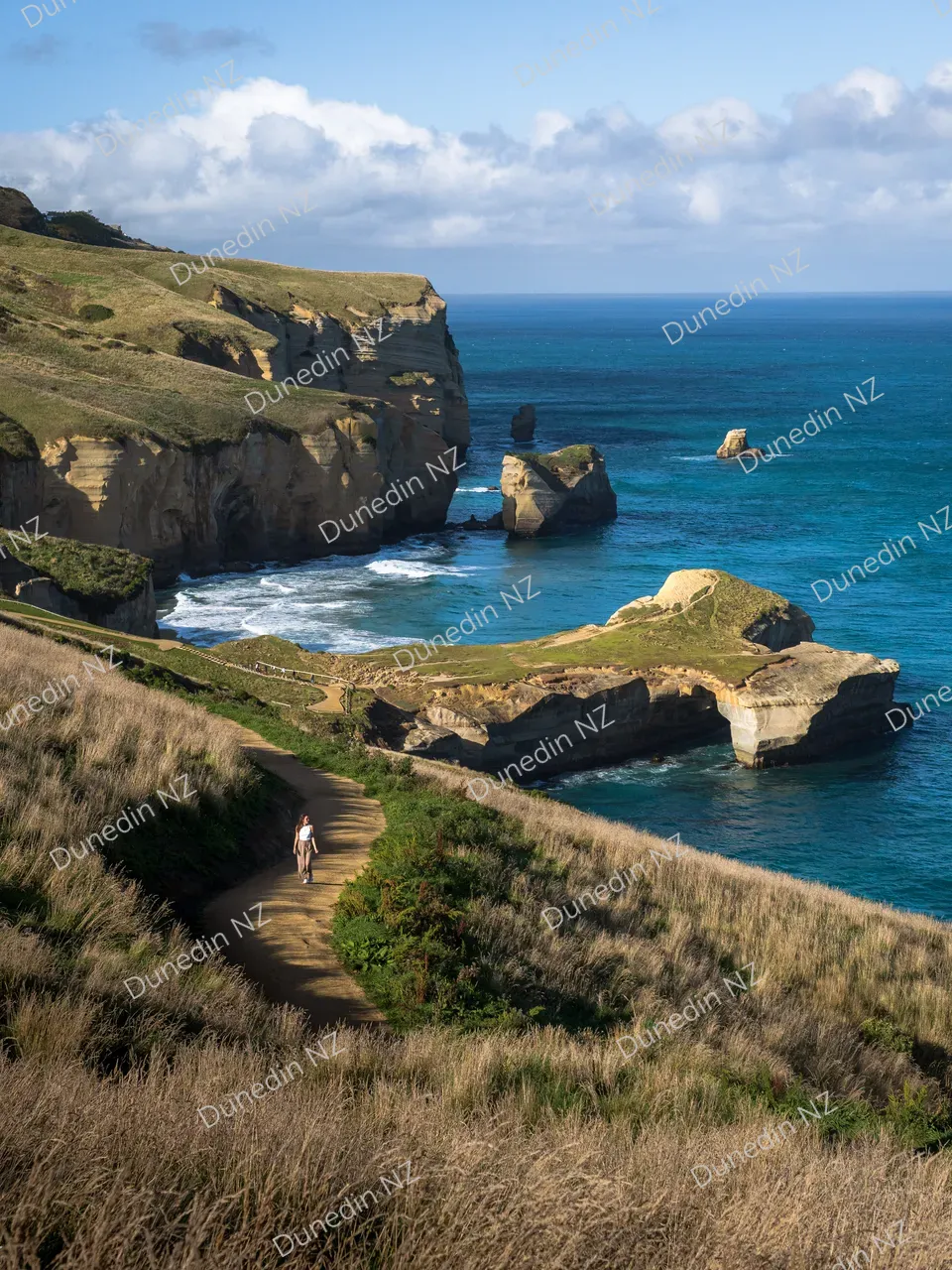 SCENIC_TunnelBeach_DunedinNZ_IMG_2372