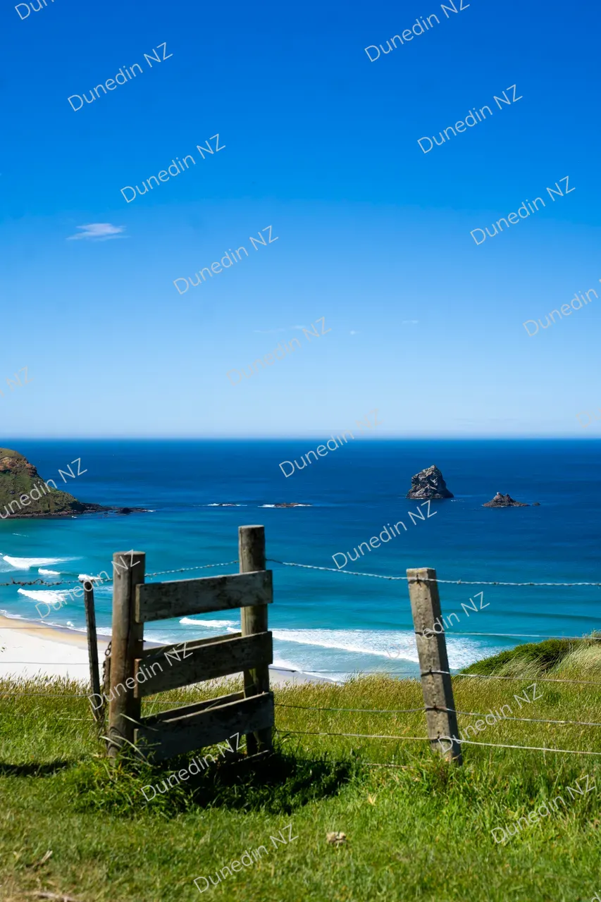 SCENIC_SandflyBay_DunedinNZ_001_DSC08119