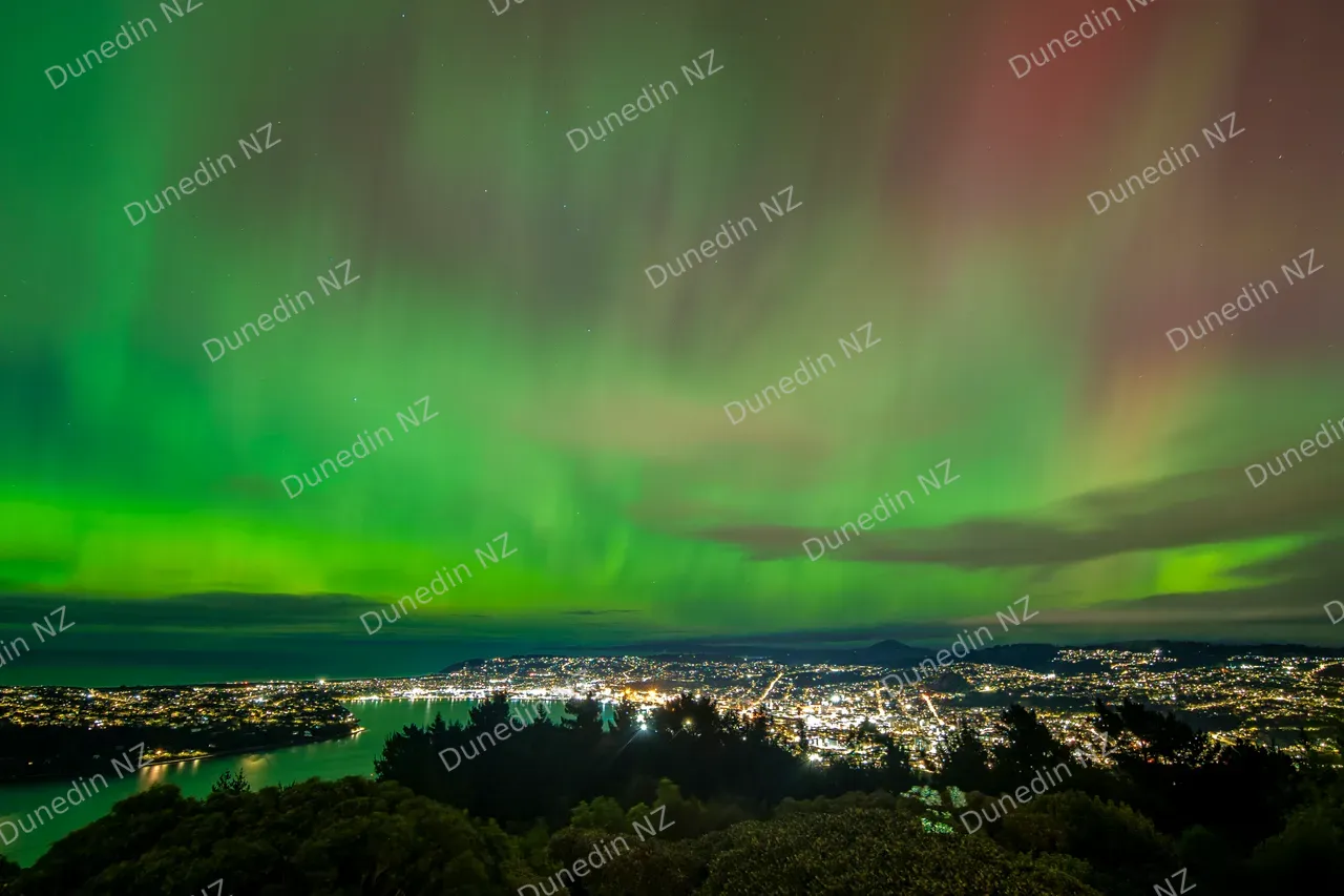 SCENIC_AuroraAustralisMay2024_012_DunedinNZ