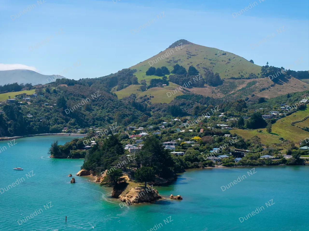SCENIC_BroadBay_DunedinNZ_014
