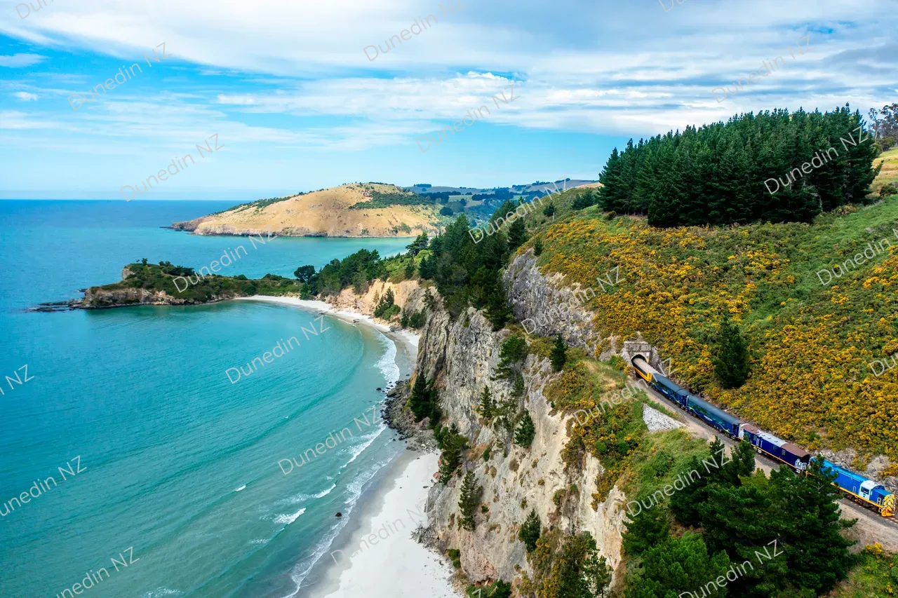 ATTRACTION_SeasiderTrain_046_DunedinNZ