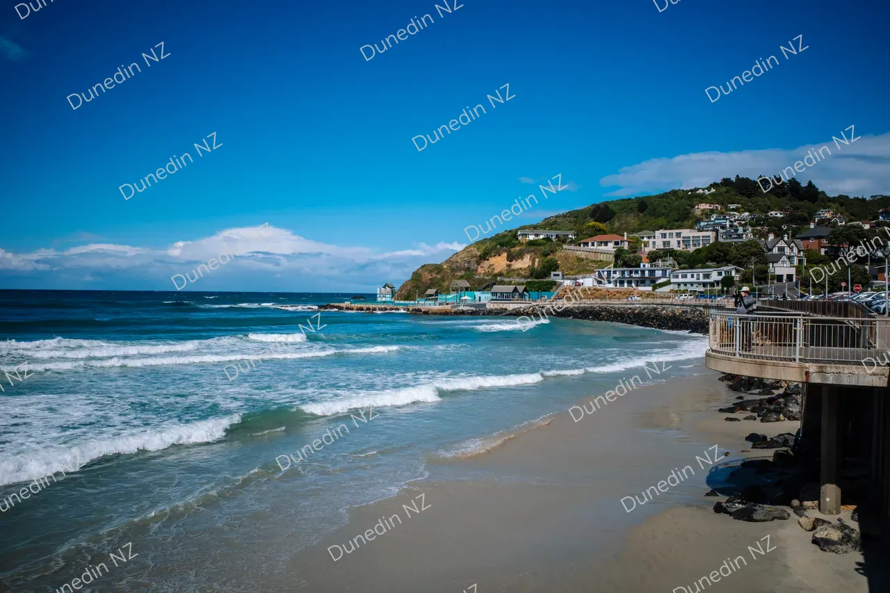 Esplanade Dunedin-02