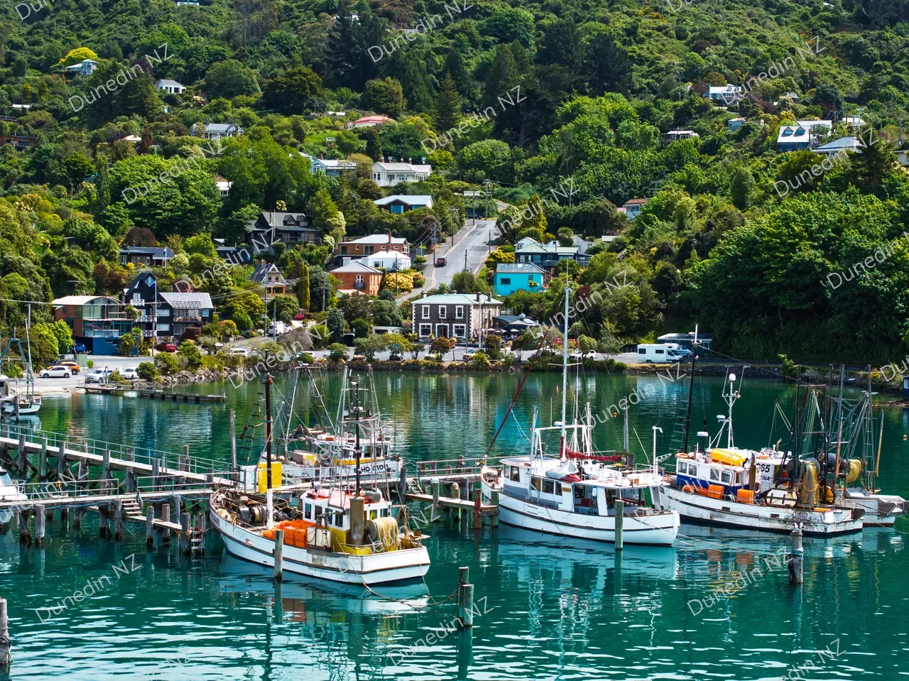 SCENIC_DunedinNZ_CareysBay_DJI_20251111140900_0005_D