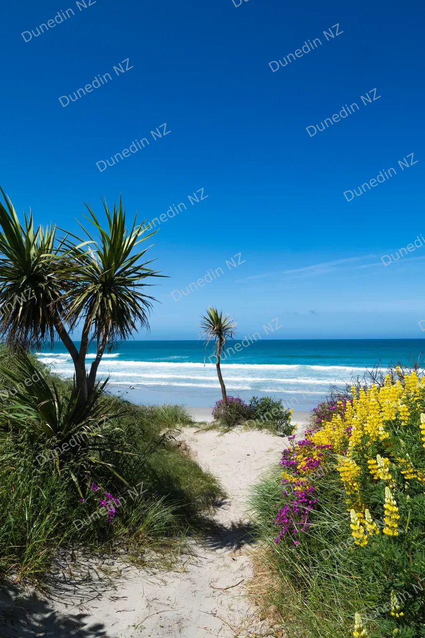 SCENIC_OkiaPyramidsVictoryBeach_004_DunedinNZ_