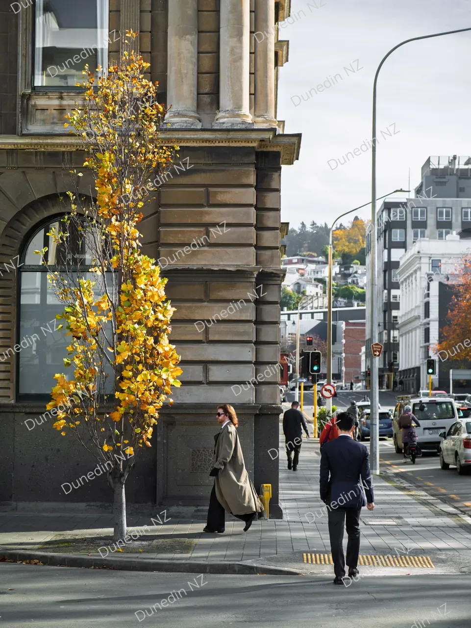 SCENIC_AutumnCity_DunedinNZ_004_P1677828