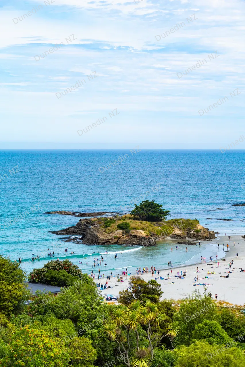 SCENIC_BrightonBeachSummer2025_DunedinNZ_002
