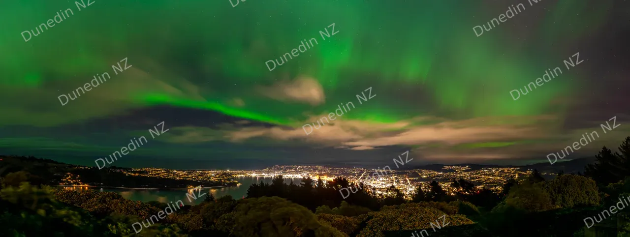 SCENIC_AuroraAustralisMay2024_011_DunedinNZ