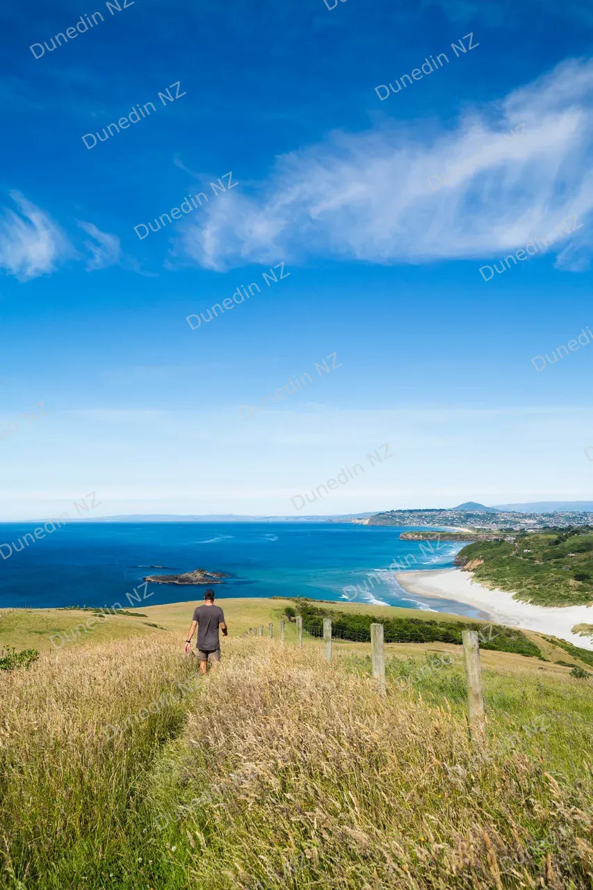 SCENIC_KaretaiTrackSummer2025_DunedinNZ_005