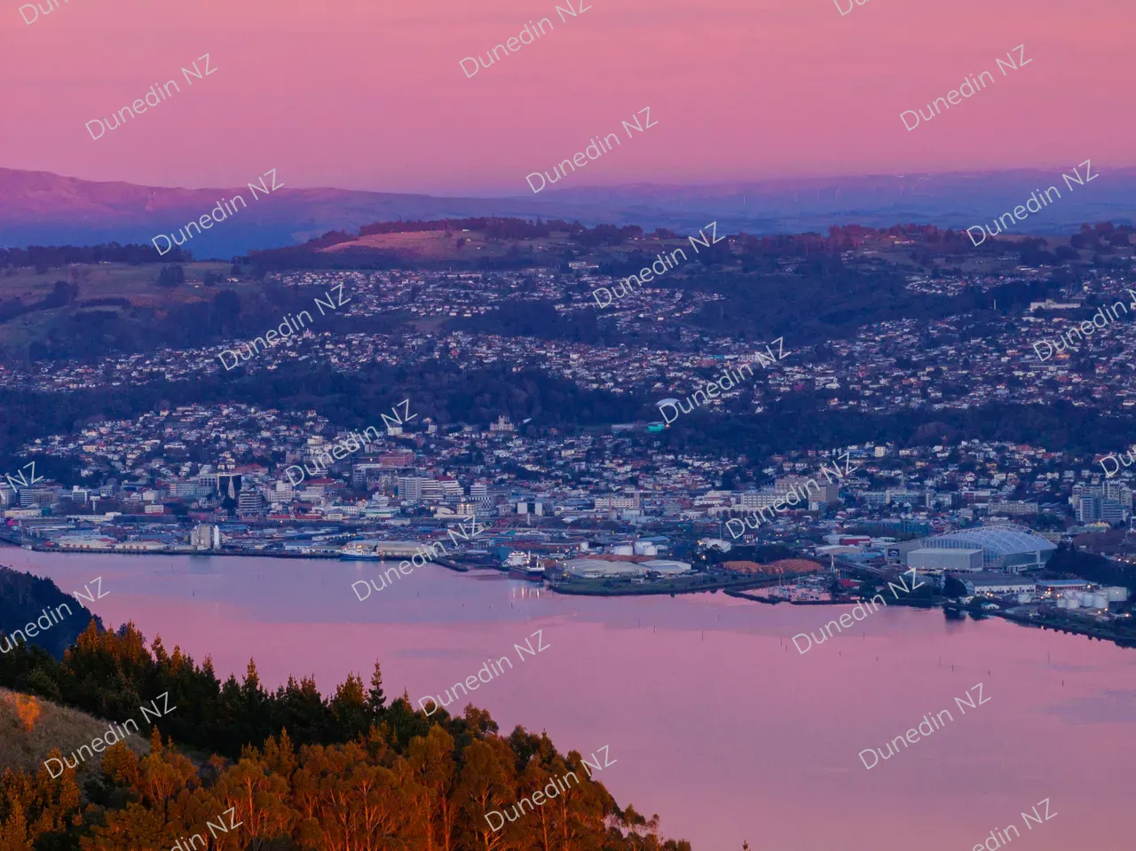SCENIC_OtagoPeninsulaRoads_DunedinNZ_DJI_20250912055231_0037_D