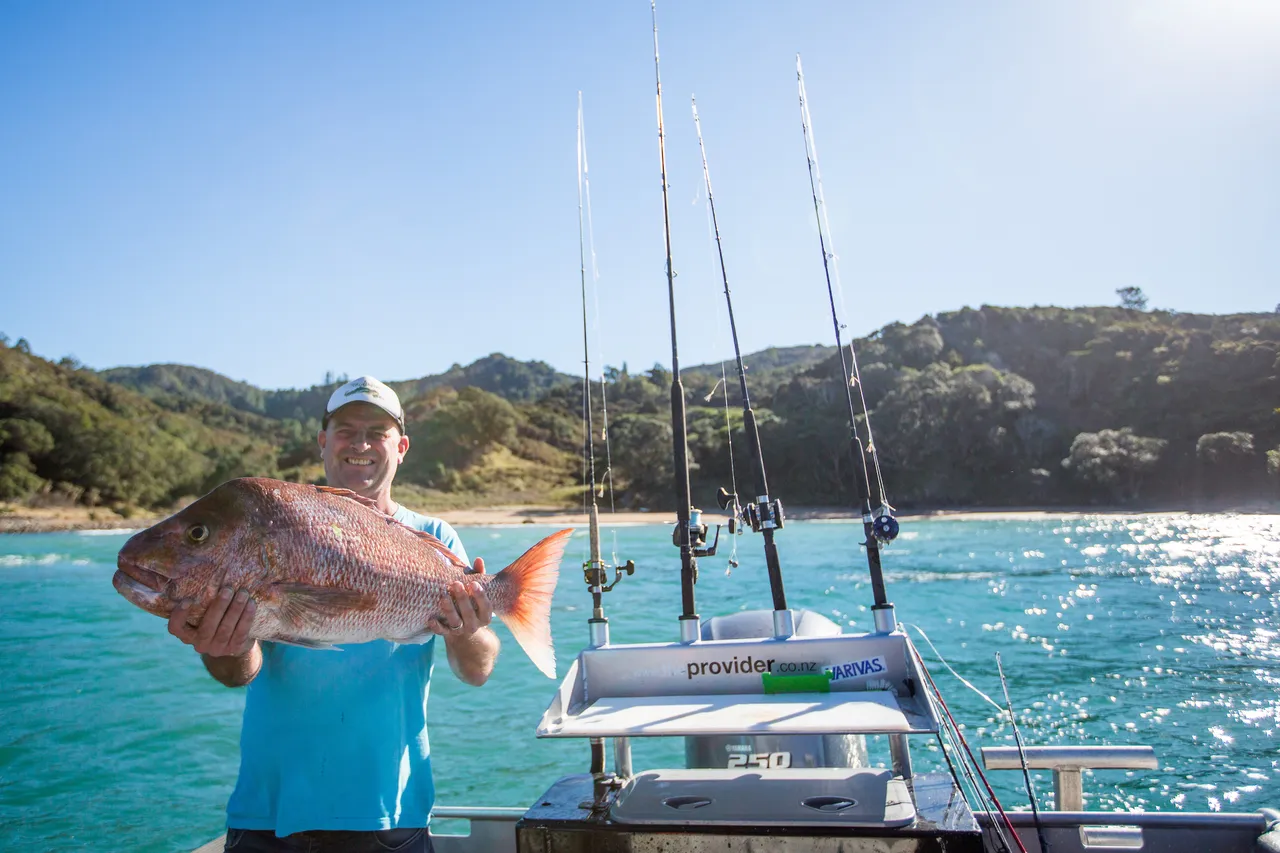 Coromandel Photography131