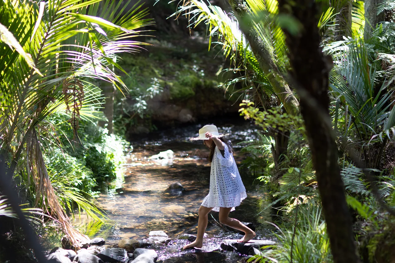 Bush and stream , Neela 008