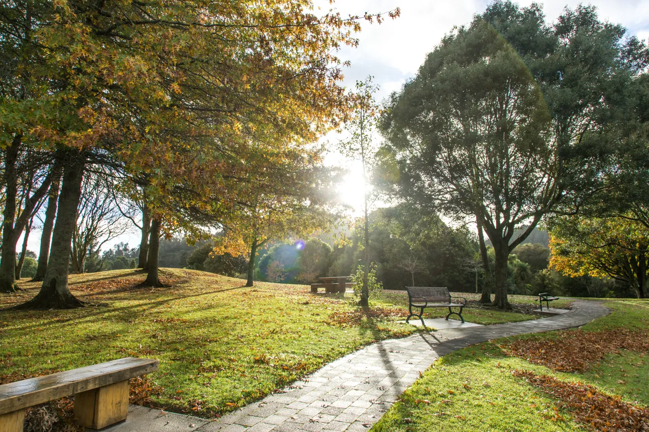 Gilmour Park Reserve, Waihi