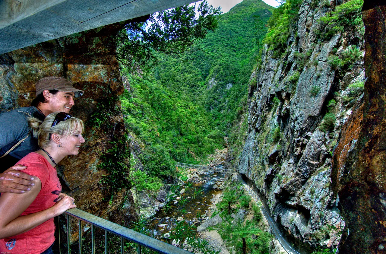 View of the Karangahake Gorge from the Windows Walkway