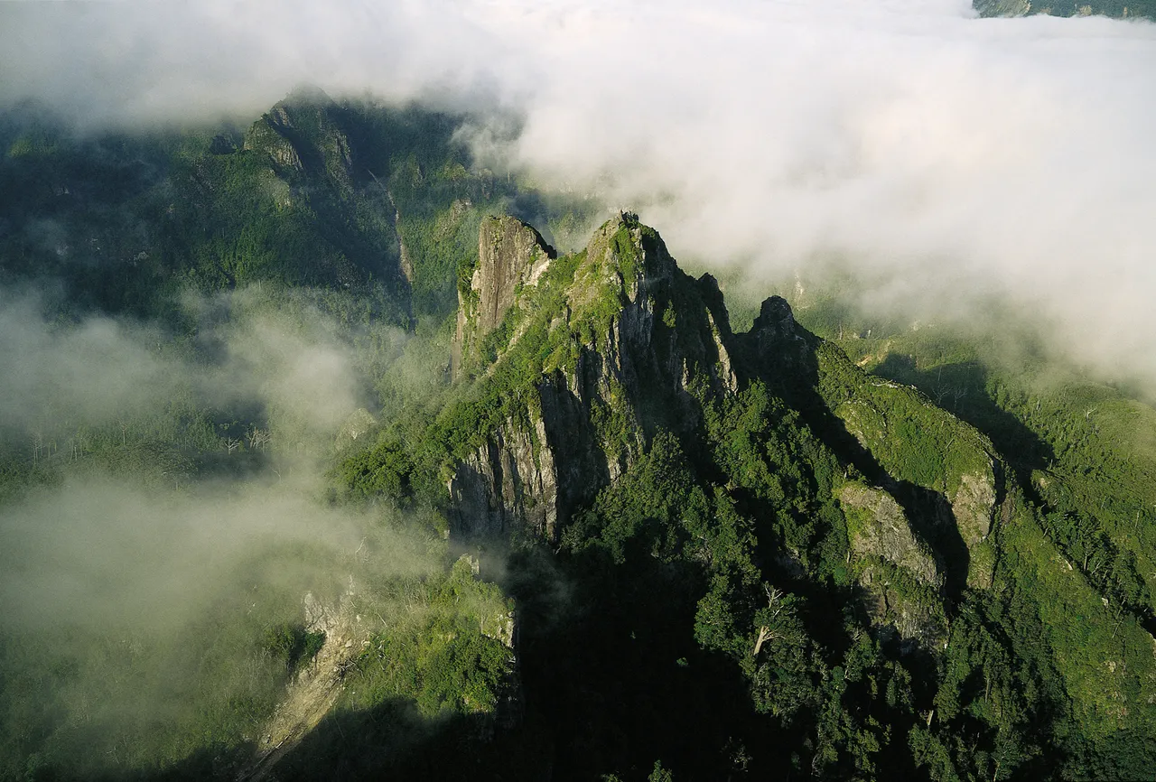 The Pinnacles summit in the Coromandel Ranges