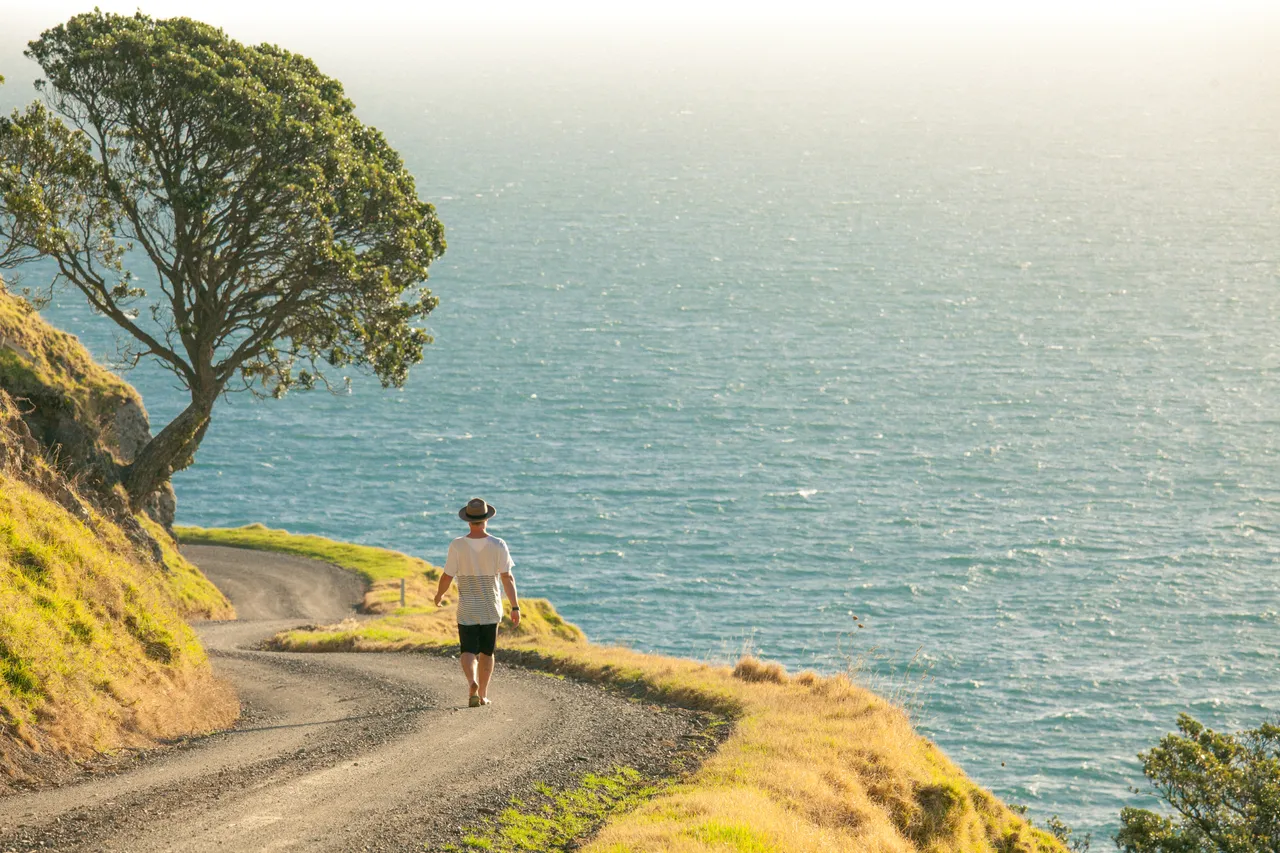 Get away from it all on the northern coast of The Coromandel