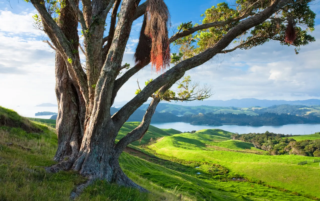 The rolling hills of The Coromandel looking north to Coromandel harbour.