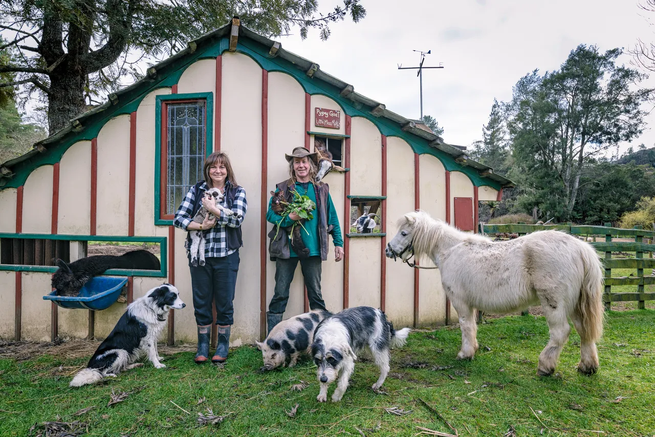 Whiti Farm Park