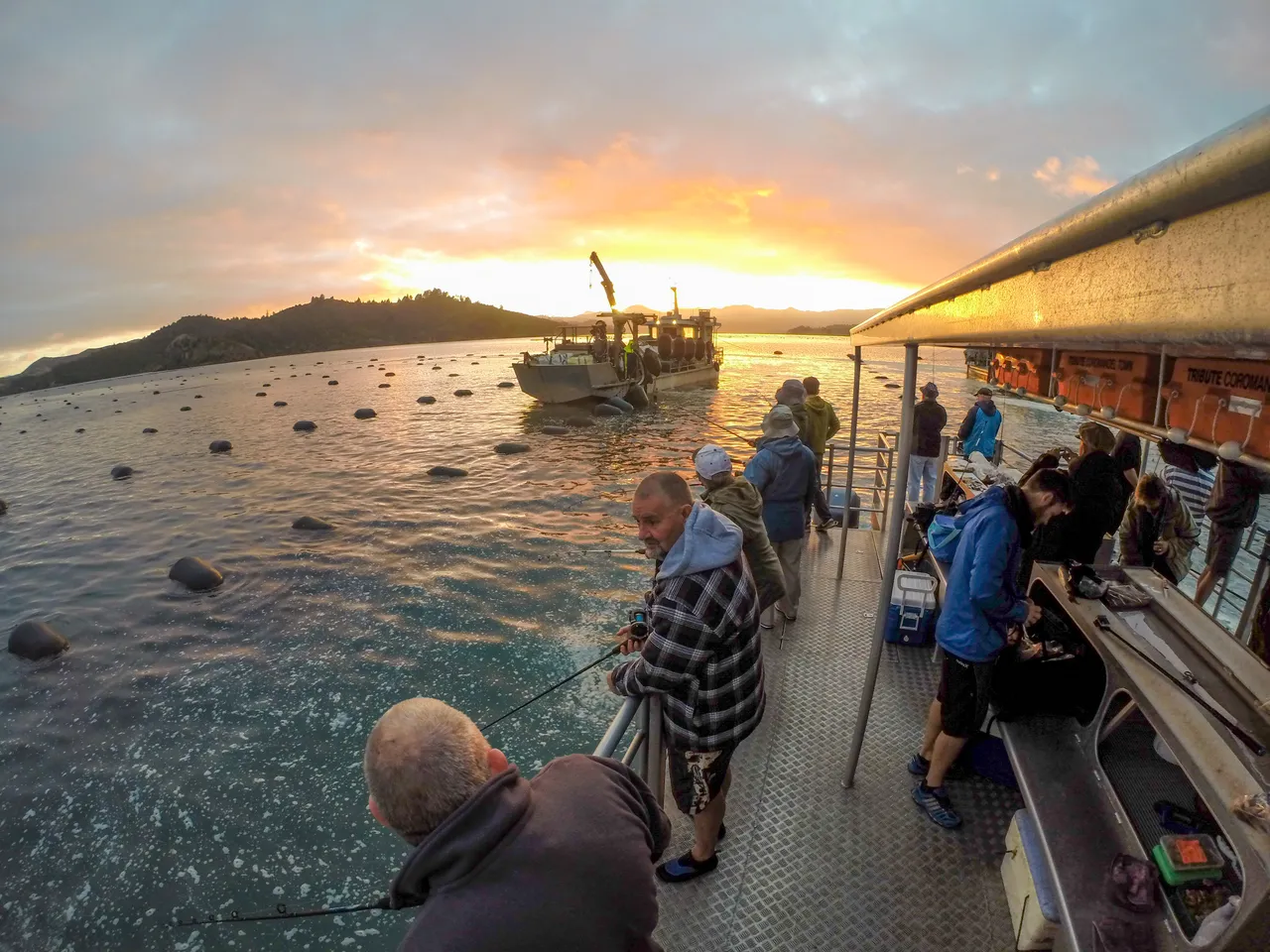 Snapper fishing off the Mussel Barge