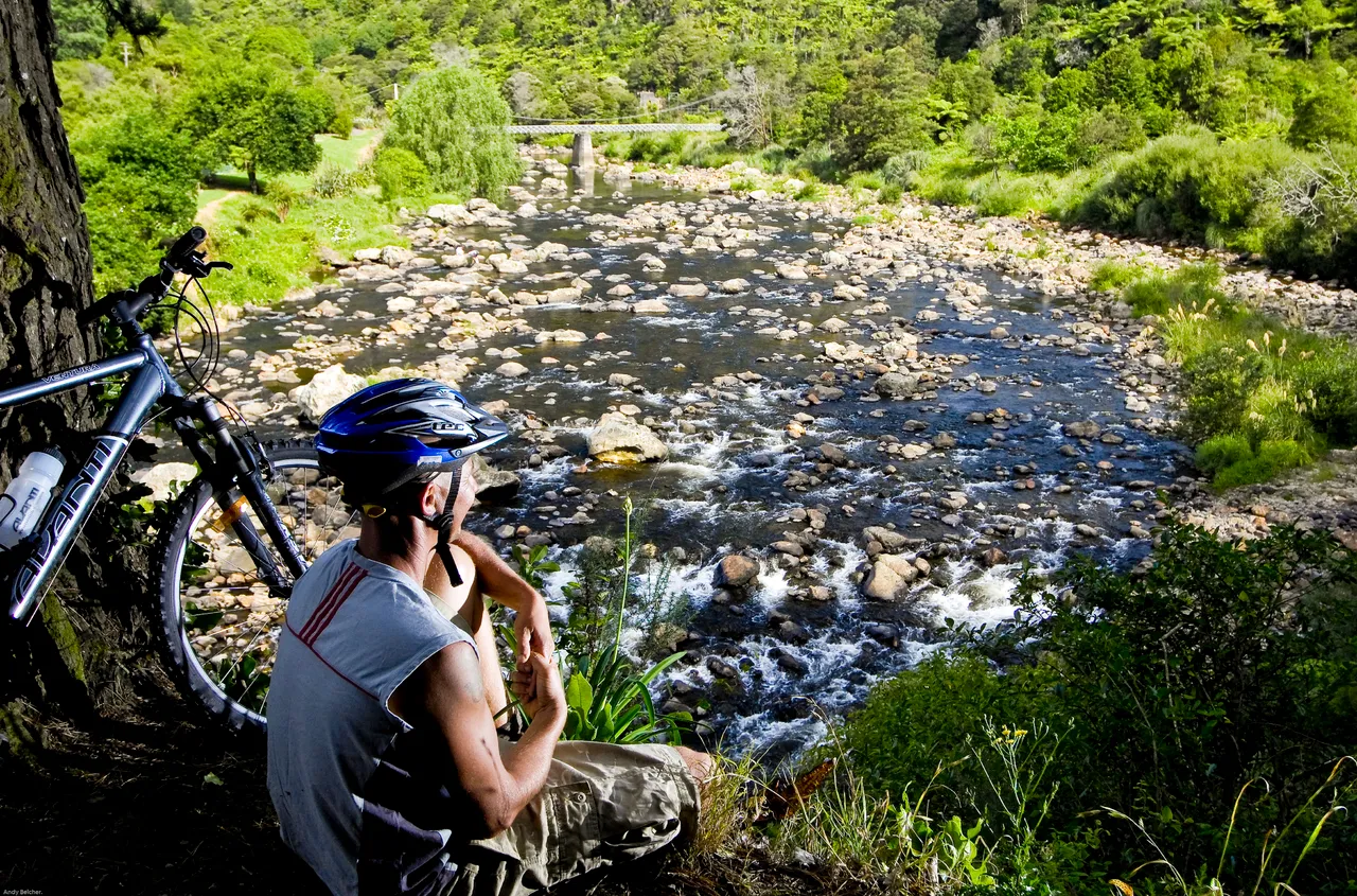 Karangahake Gorge 4