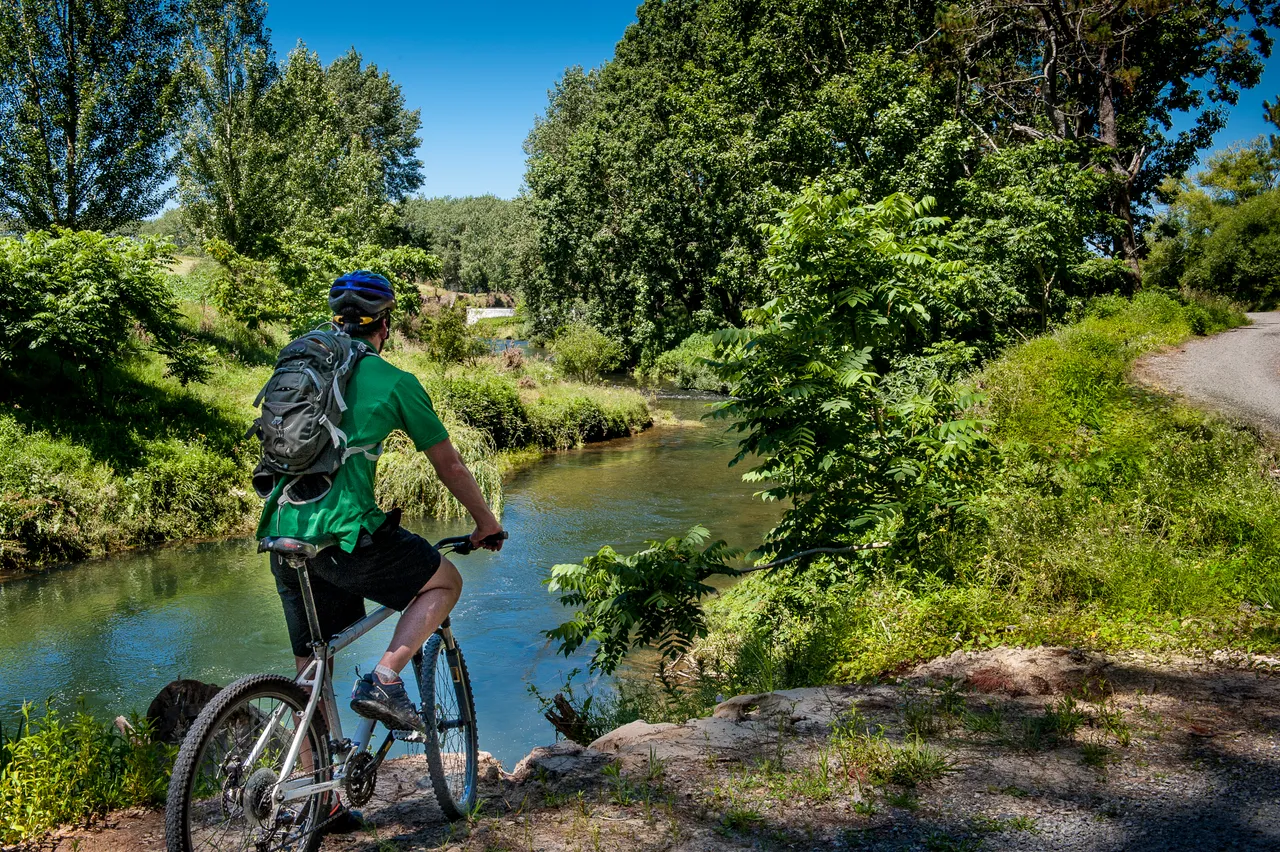 Hauraki Rail Trail 3