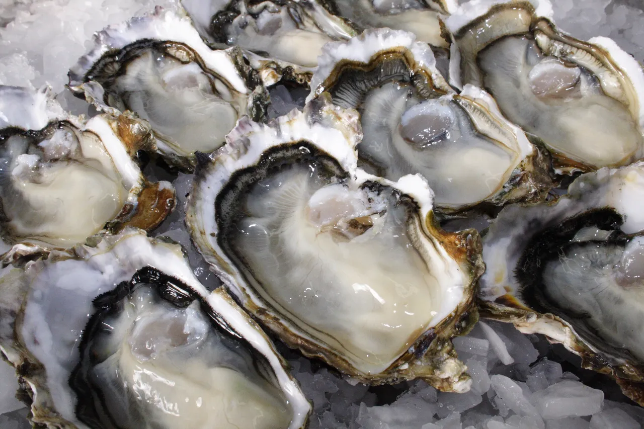 Coromandel Oyster Co
