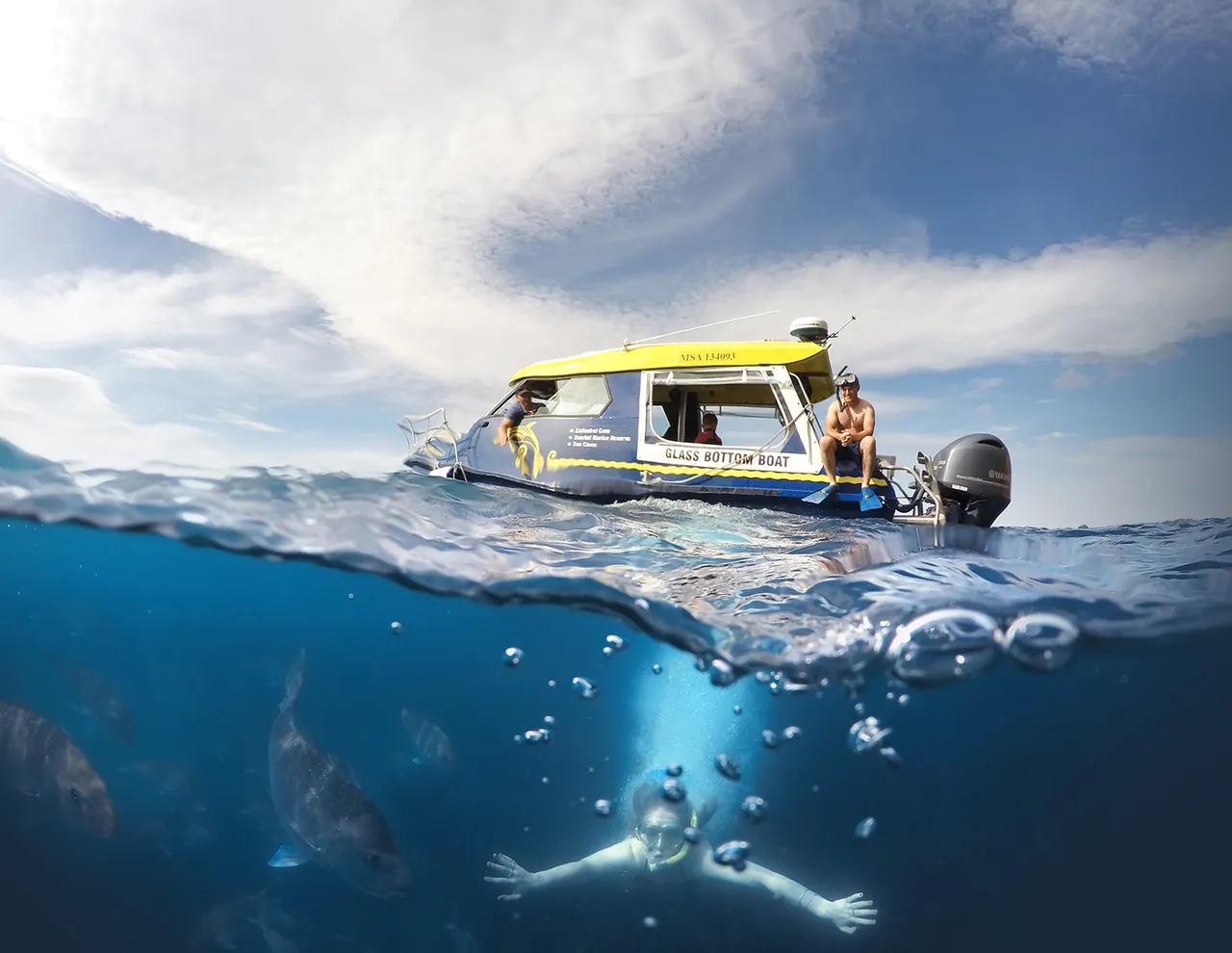 Glass Bottom Boat-under-over-2017