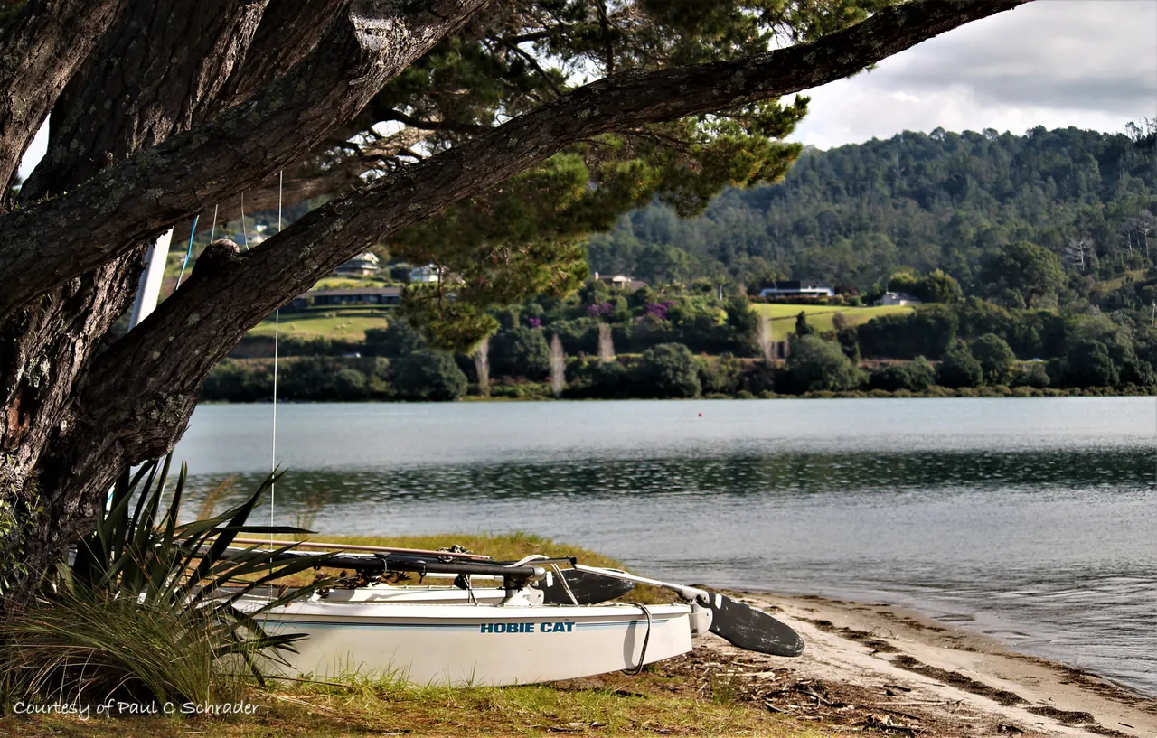 Paradise Coast - Boat