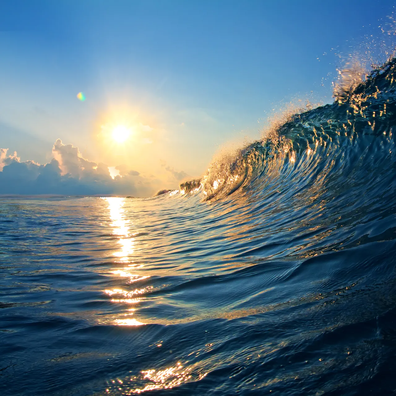 Paradise Coast - Ocean Wave