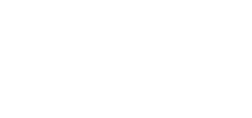 Paradise Coast - Whangamata - WEB - Logo Surfing adventure white