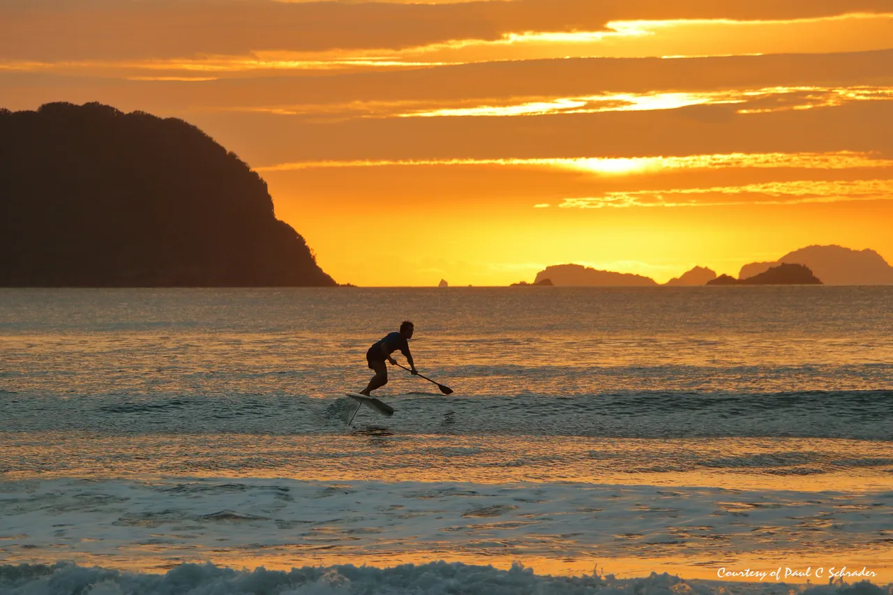 Paradise Coast