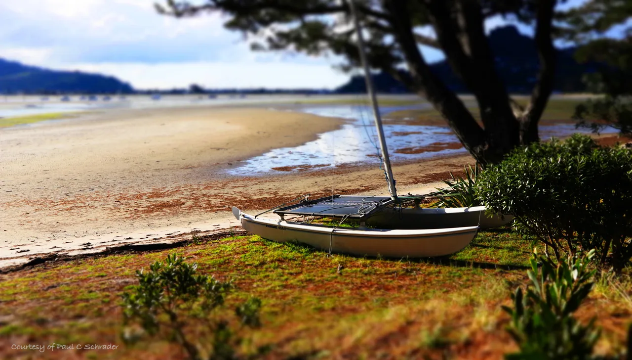 Paradise Coast - Boat