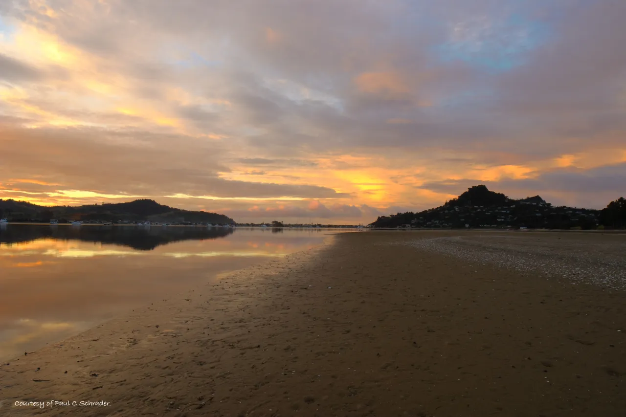 Paradise Coast - Mt Paku