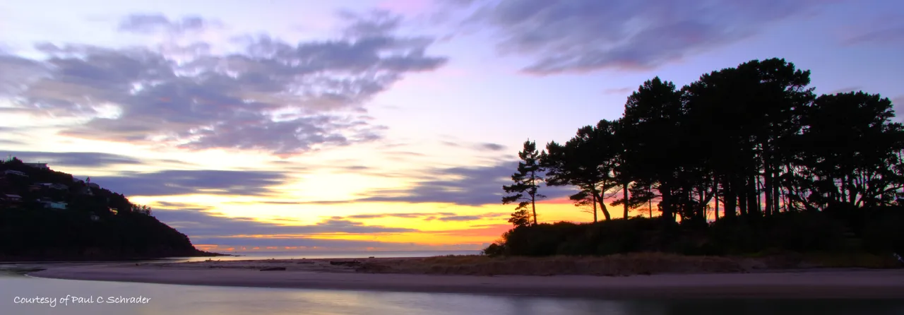 Paradise Coast