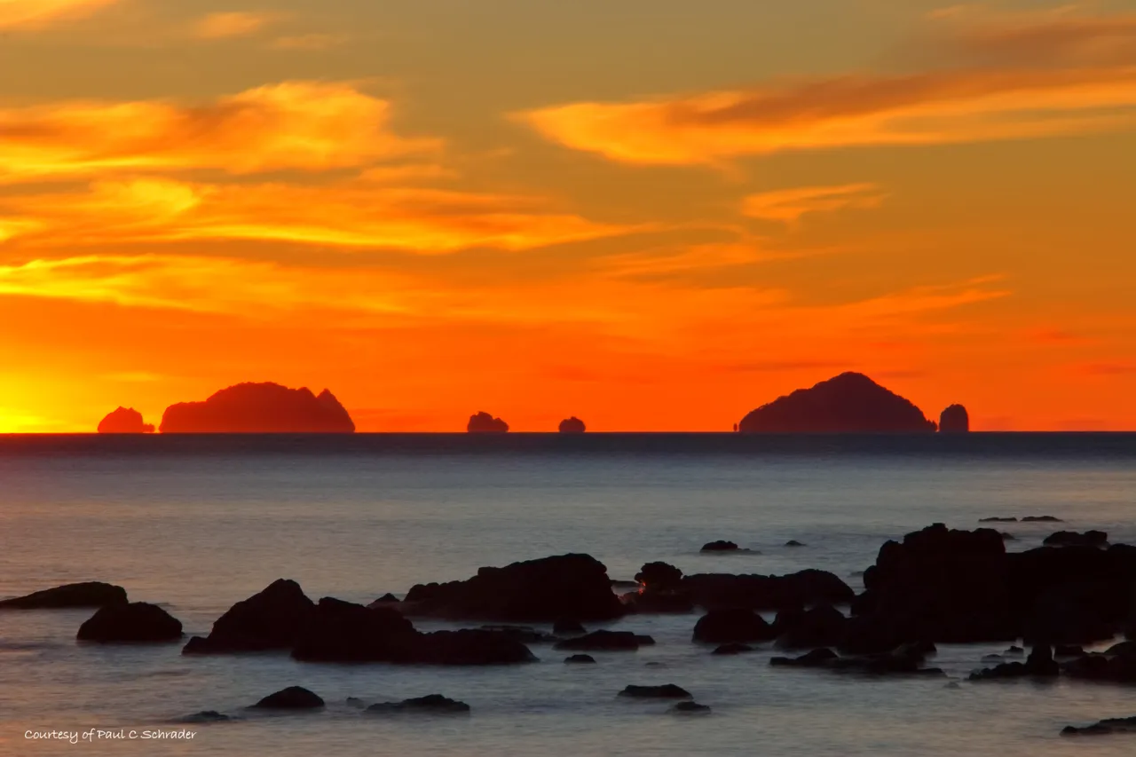 Paradise Coast