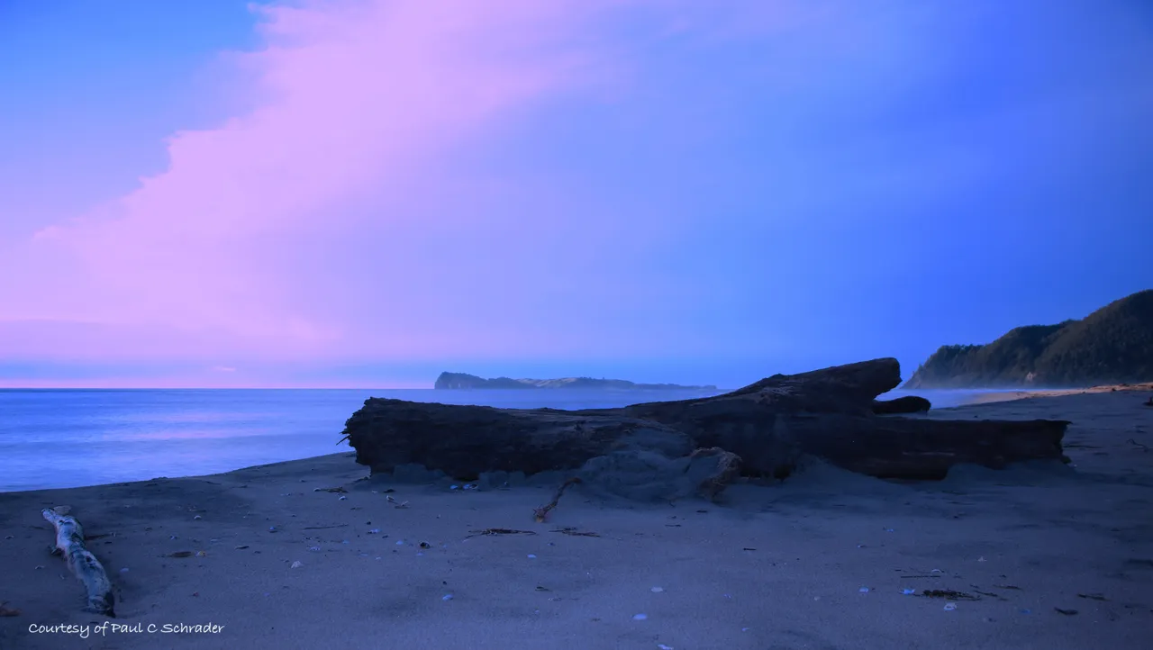 Paradise Coast
