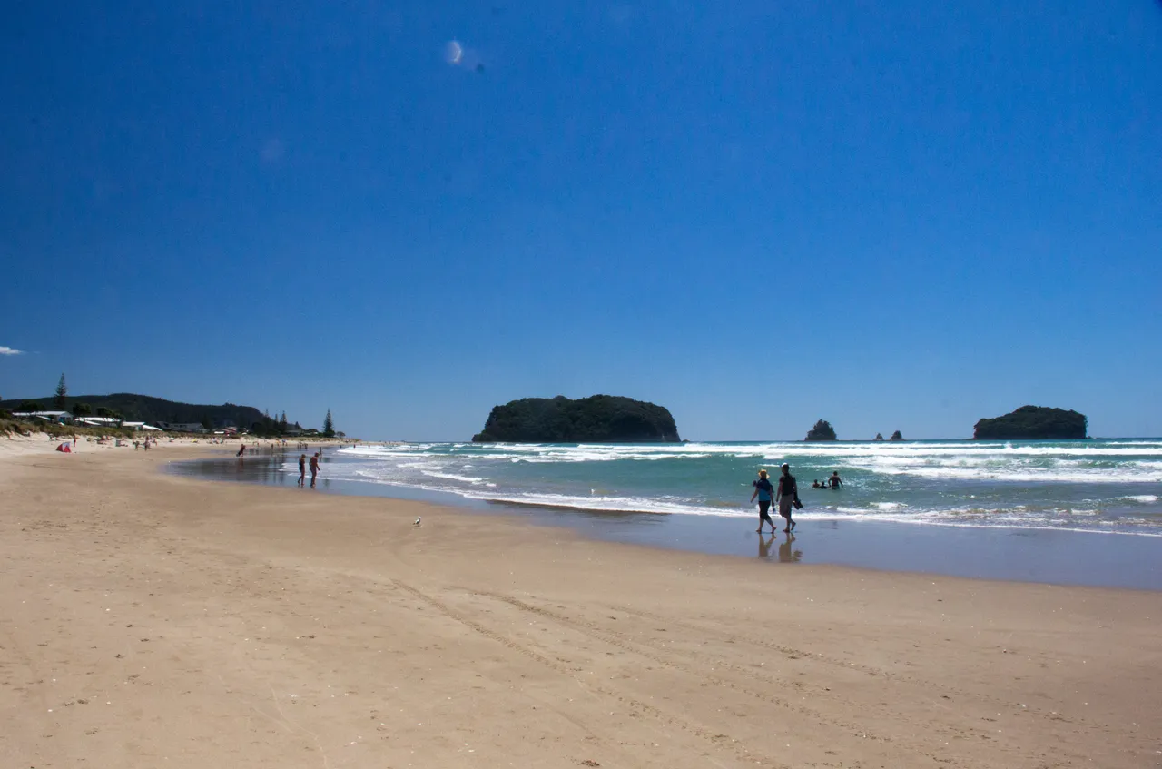 whanga beach wide shot