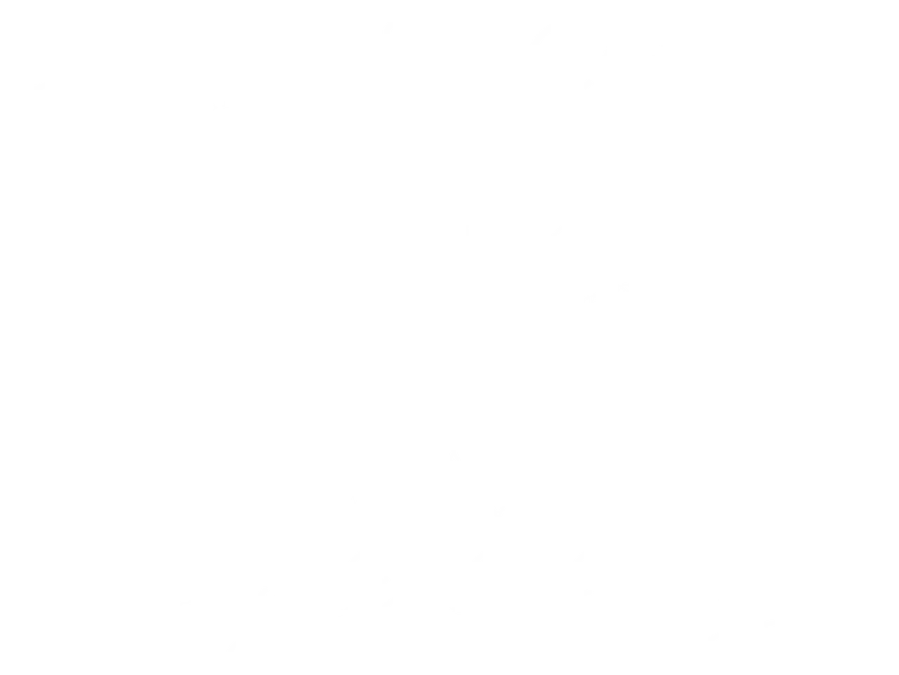 Paradise Coast - extra graphics - t shirt white