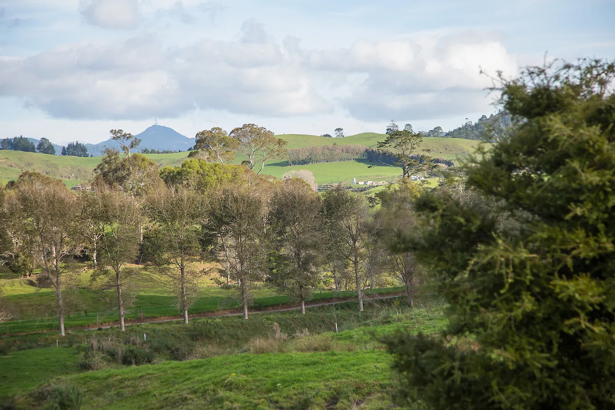 HRT-373 Waihi to Waikino