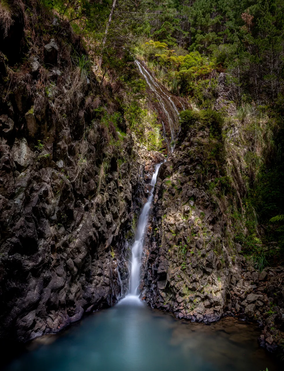 Tangiteroria Stream Waterfall 1