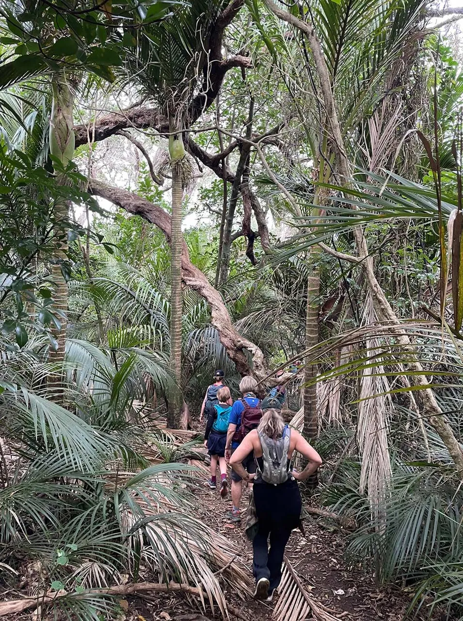 ECHO Walking festival - Homunga Bay to Waihi Beach by Rose Phan