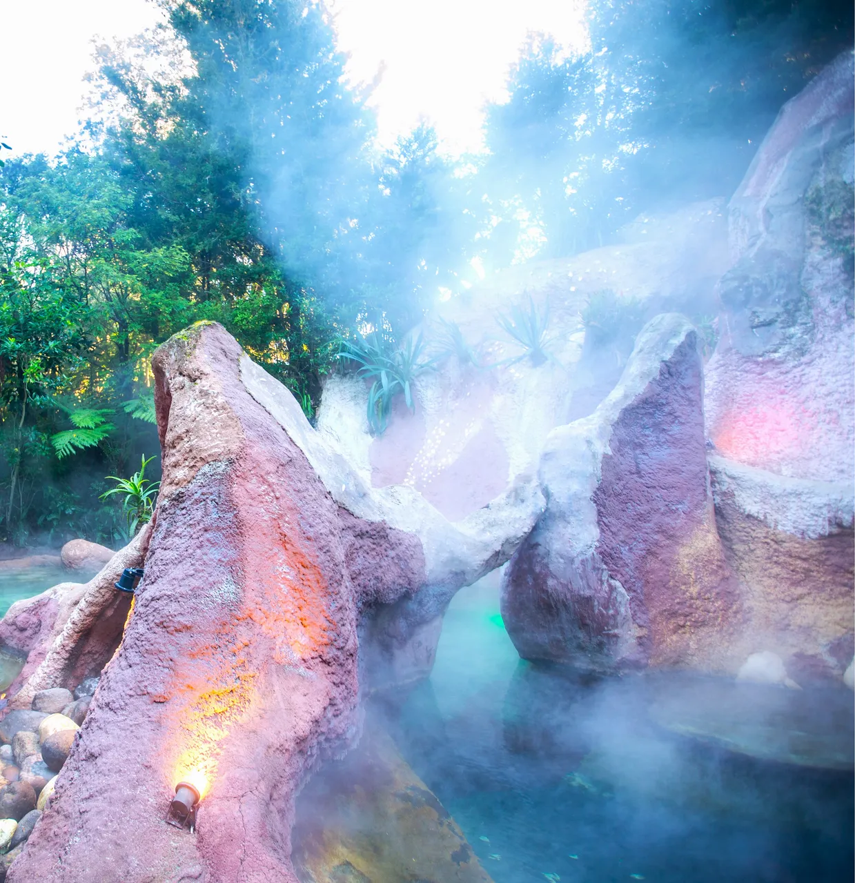 Crater Steam shot at The Lost Spring