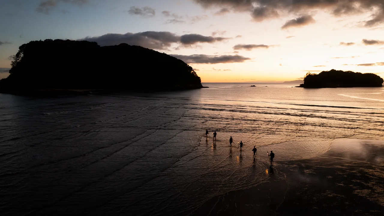 Hauturu_low tide crossing dawn drone (1)