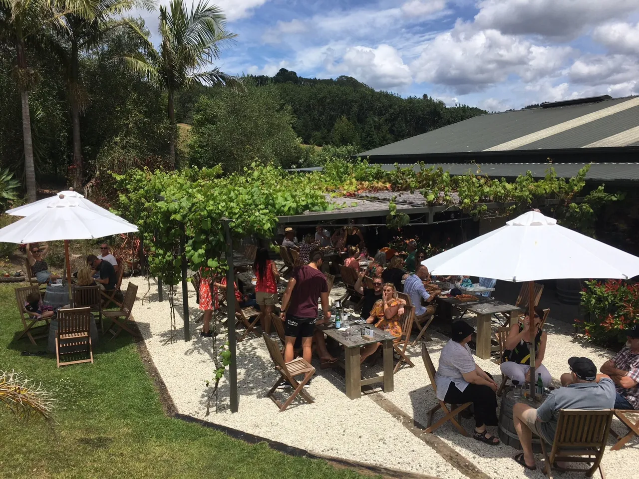 Mercury Bay Estate 2