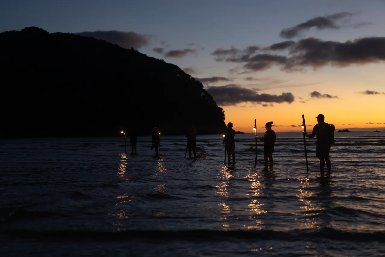 Whangamatā Island Tours - Hauturu Low tide island crossing dawn lamps