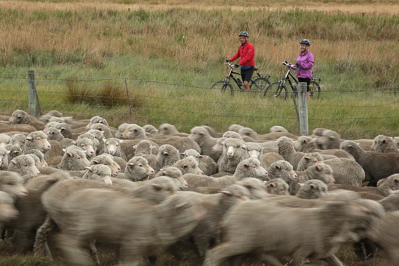 Otago Central Rail Trail, Credit: James Jubb/ Tourism Central Otago