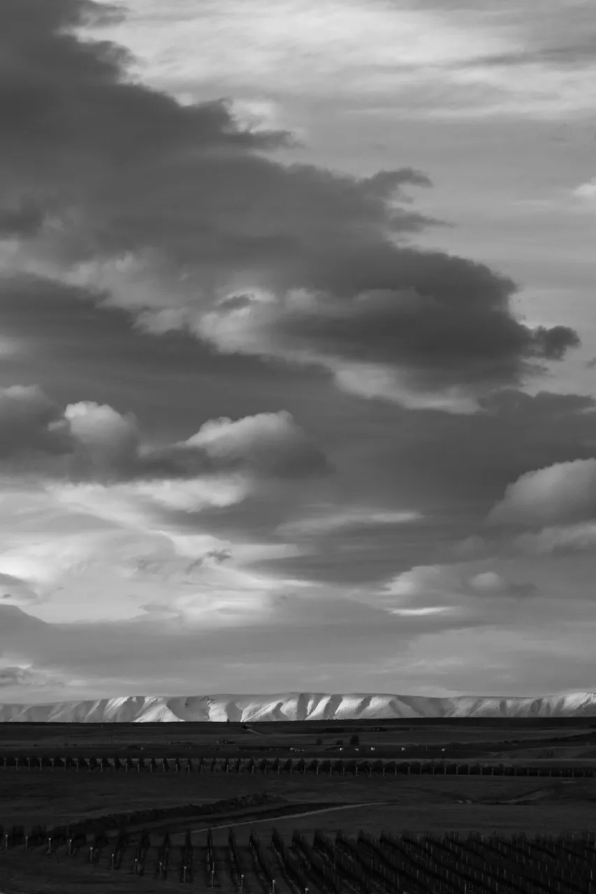 Mcarthor Ridge Landscape - Credit Will Nelson (1)