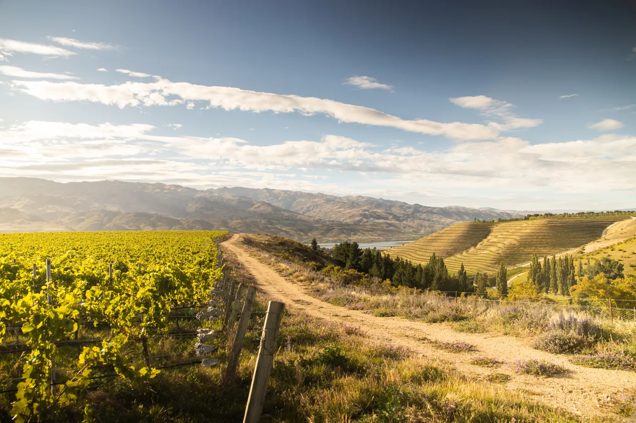 Domaine Thomson - Credit Will Nelson