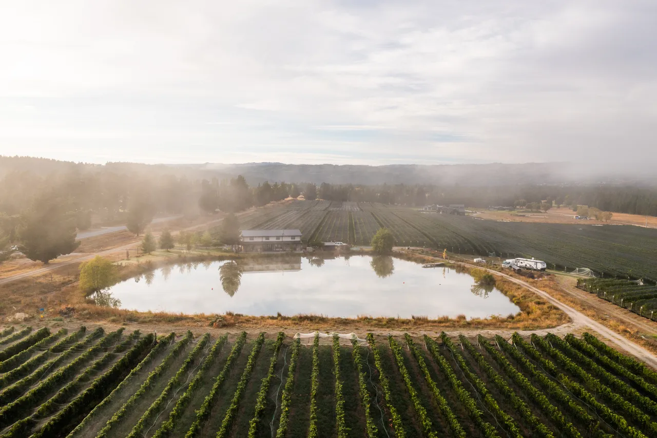Ruru Wines, credit Will Nelson