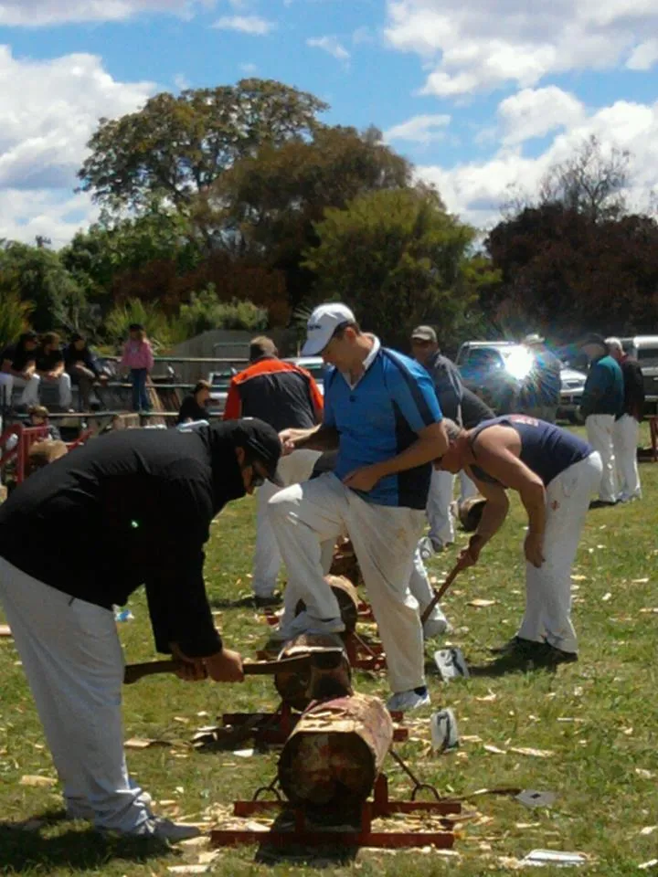 Marlborough A&P Show